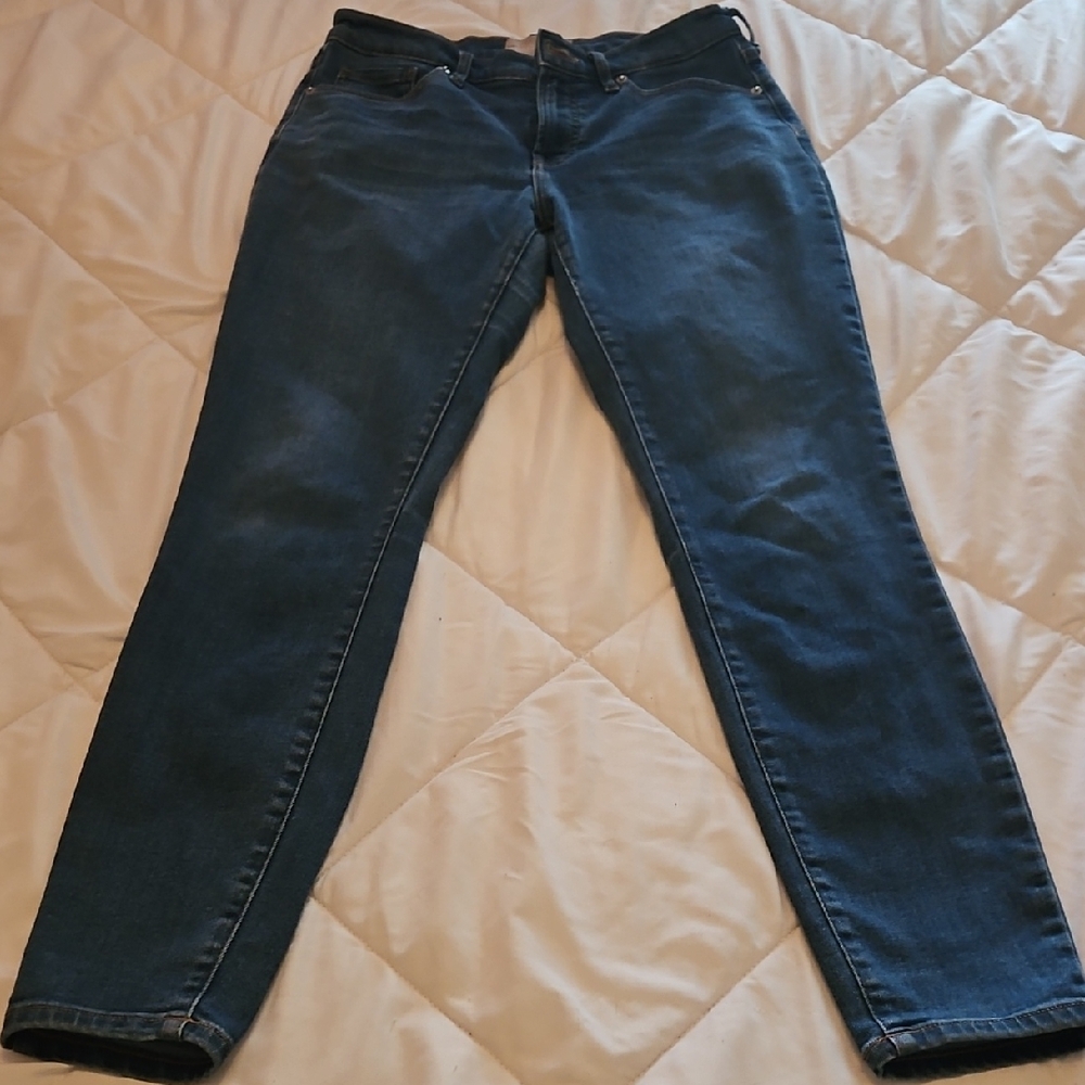 Everlane Blue Skinny Jeans